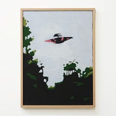 I WANT TO BELIEVE